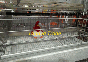 poultry cage - 001