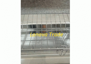 poultry cage - 003